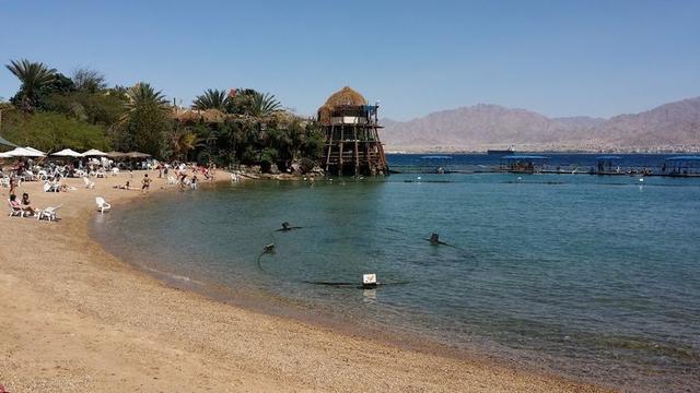 Dolphin Reef Beach